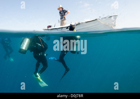 SWAIN REEFS, Australien – drei Taucher tauchen nach einem Tauchgang am Great Barrier Reef auf, um nach einem Drifttauchen in einem Schlauchboot abgeholt zu werden. Foto mit Teil unter Wasser teilen. Stockfoto