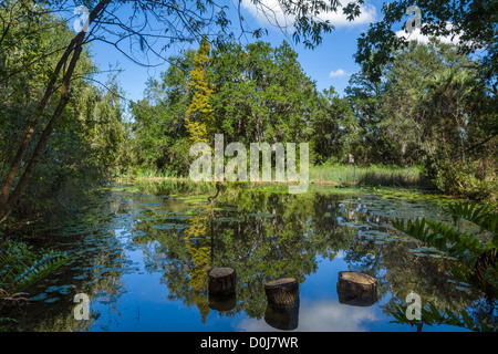 Fenster vom Teich, Bok Tower Gardens, Lake Wales, Polk County, Zentral-Florida, USA Stockfoto