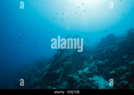 Das Schiffswrack 'La Machaca' und Taucher in der Karibik um Bonaire, Niederländische Antillen. Foto V.D. Stockfoto