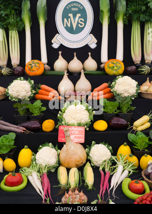 Erster Preis in der Kategorie Gemüse anzeigen am Malvern Herbstshow. Stockfoto