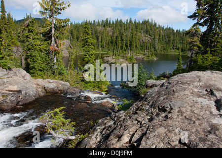 Der verbotene Plateau, Strathcona Park, Vancouver Island schönen See. BC, Kanada im September Stockfoto