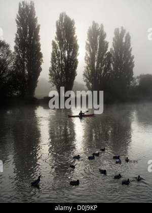 Ein Ruderer an einem nebligen Morgen in der Nähe von Saint Helens Kai in Abingdon auf Themse. Stockfoto