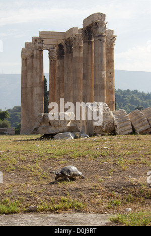 Der Tempel des Olympischen Zeus, auch als das olympieion oder Spalten des olympischen Zeus bekannt, ist eine kolossale zerstörten Tempels im Zentrum der griechischen Hauptstadt Athen, die Zeus geweiht war, König der olympischen Götter. eines der Symbole von Athen und der griechischen Kultur Stockfoto