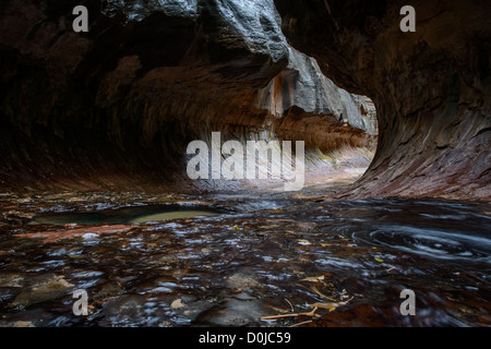 Die U-Bahn in Zion Nationalpark Stockfoto