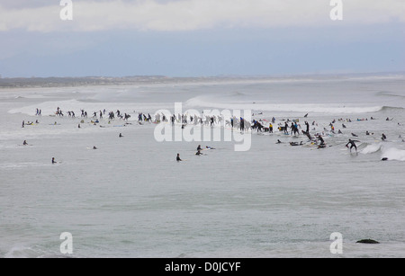 Surfer reiten eine Welle bei den alljährlich stattfindenden Earthwave, wo die Teilnehmer versuchen, den Guinness-Weltrekord brechen die Anzahl Stockfoto