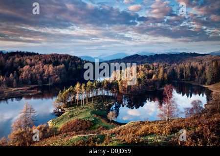 Ansicht des Tarn Hows in Cumbria. Stockfoto