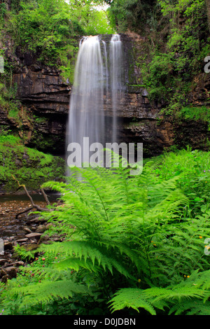 Nant Llechl sind der höchste Wasserfall in den Brecon Beacons National Park Stockfoto