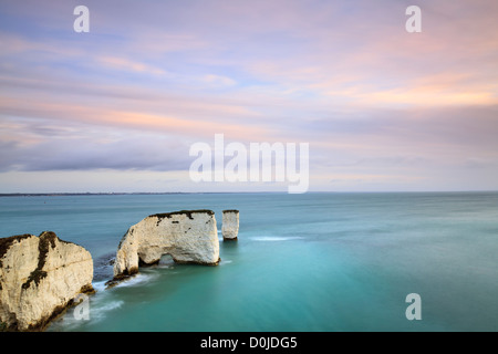 Ein Blick entlang der Old Harry Rocks in der Nähe von Swanage an der Küste von Dorset. Stockfoto