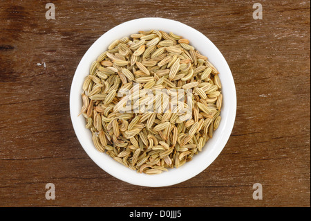Fenchelsamen in Schüssel weiß Stockfoto