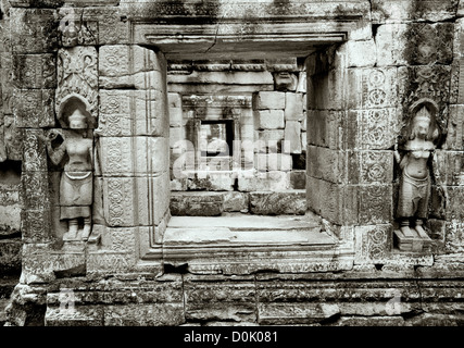 Kunst in den Ruinen des Tempels von Preah Kahn an den Tempeln von Angkor im Dschungel in Siem Reap in Kambodscha in Südostasien. Kambodschanische Geschichte reisen Stockfoto