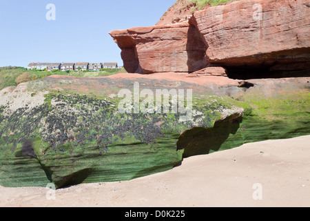 Jurassic Coast an der Unterseite der Orcombe Punkt in der Nähe von Exmouth, Devon, UK. Einige Häuser im Hintergrund Stockfoto