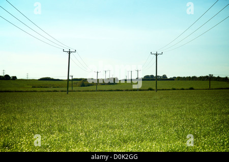 Stromleitungen und Feldern im ländlichen Gebiet von England Stockfoto