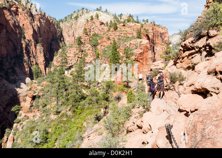 Wanderer entlang eines Engels Landing im Zion National Park - schöne Landschaft Stockfoto