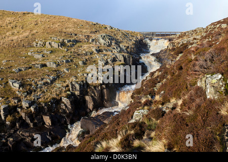 Des Flusses Tees und Kessel Schnauze mit Kuh grün Damm hinter oberen Teesdale County Durham England UK Stockfoto