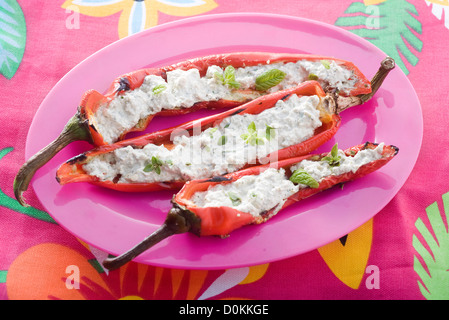 Pimientos, gefüllt mit Tofu und Kräuter aus dem Garten Stockfoto