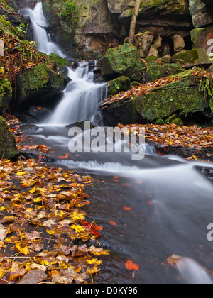 seidige Wasser fließt über Felsen in ein Waldbach Stockfoto