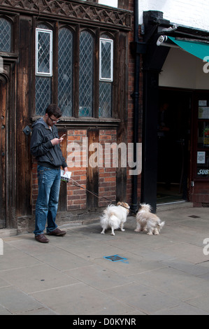 Mann mit zwei Hunden SMS Stockfoto