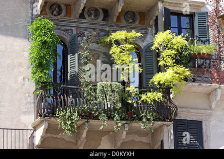 Balkone in alten Bürgerhäusern in Verona, Veneto, Italien Stockfoto