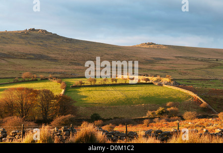 Späten Nachmittag Sonne aufleuchten geschlossenen Felder auf Dartmoor, Devon UK Stockfoto