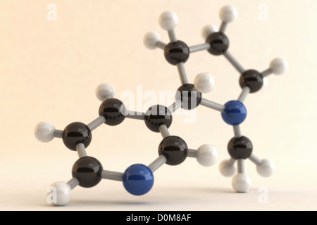 Visualisierung der molekularen Struktur von Nikotin. Stockfoto