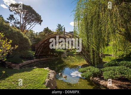 Die schön renovierten Japanese Gardens an der Huntington-Bibliothek und botanischen Gärten. Stockfoto