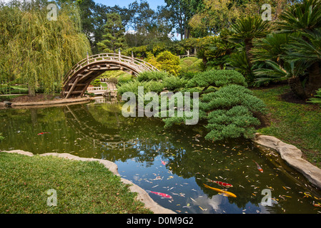 Die schön renovierten Japanese Gardens an der Huntington-Bibliothek und botanischen Gärten. Stockfoto