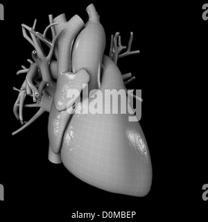 Wireframe-Diagramm eines Herzens. Stockfoto