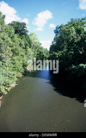 Papua Neu Guinea, Alotau Region, Fluss in dichten Dschungel in der Nähe von Ahioma. Stockfoto