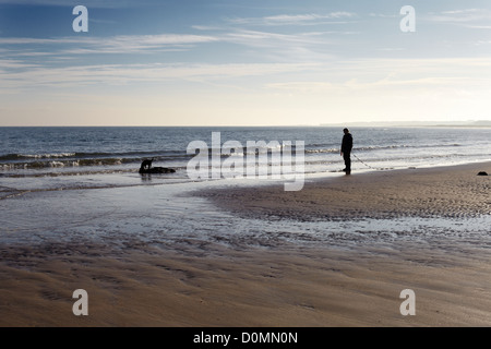 Wandern mit Hund am Strand unter Bamborough Castle. Northumberland Stockfoto