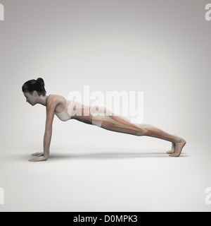 Muskulatur über Frauenkörper in Plank-Pose, die Aktivität bestimmter Muskelgruppen in dieser bestimmten Yoga-Haltung zeigen geschichtet. Stockfoto