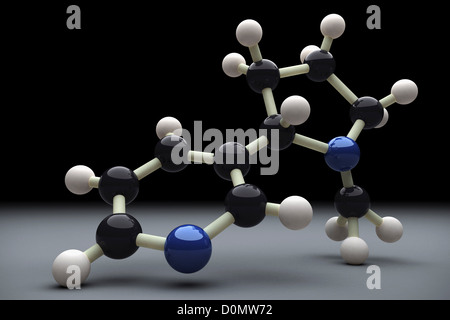 Molekülmodell zeigt die chemische Struktur von Nikotin. Stockfoto