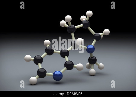 Molekülmodell zeigt die chemische Struktur von Nikotin. Stockfoto