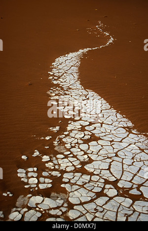 Trocknen Sie, gebranntem Ton entstehen aus Sanddünen im Vlei, Sossusvlei, Namib-Wüste, Namibia Stockfoto