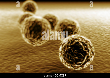 Gruppe von Chlamydien Bakterien. Stockfoto