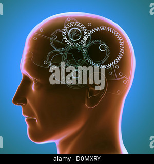 Anatomisches Modell eines menschlichen Kopfes, den menschlichen Geist wie ein Zahnradsystem darstellt. Stockfoto