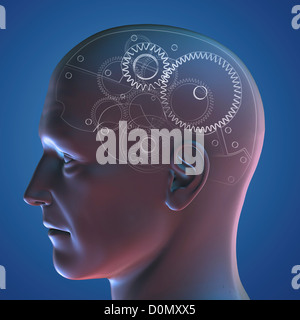 Anatomisches Modell eines menschlichen Kopfes, den menschlichen Geist wie ein Zahnradsystem darstellt. Stockfoto