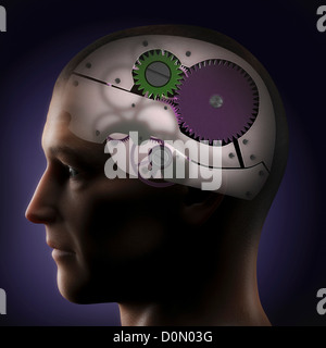 Anatomisches Modell eines menschlichen Kopfes, den menschlichen Geist wie ein Zahnradsystem darstellt. Stockfoto
