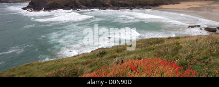 Poldhu Strand in der Nähe von Mullion Dorf, Cornwall County; England; UK Stockfoto