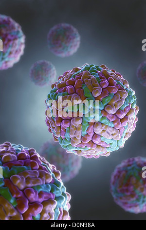 Struktur Dengue-Virus (DENV) (PDB 1K4R) verursachen, Dengue-Fieber. Es ist Moskitos übertragene einzigen positiven-Stranded RNA Virus-Familie Stockfoto