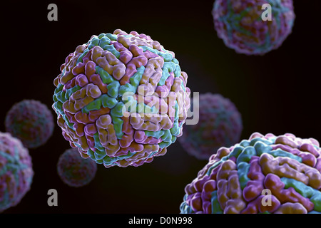 Struktur Dengue-Virus (DENV) (PDB 1K4R) verursachen, Dengue-Fieber. Es ist Moskitos übertragene einzigen positiven-Stranded RNA Virus-Familie Stockfoto