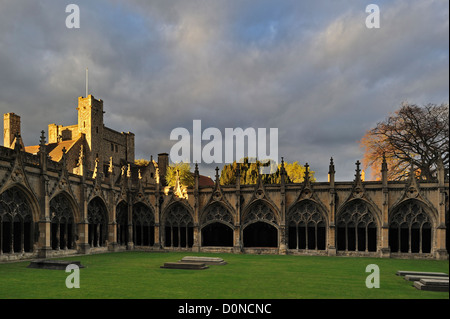 Der große Kreuzgang der Kathedrale von Canterbury in der mittelalterlichen Stadt Canterbury, Kent, Südengland, Großbritannien Stockfoto