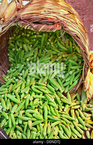 Bio Okra verschütten aus einem Korb am A Street Market (Löffelbiskuits) Stockfoto