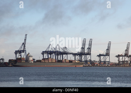 Ein Containerschiff im Hafen von Felixstowe, Suffolk, Großbritanniens größter Containerhafen be- Stockfoto