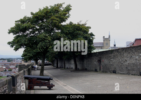 Kanonen auf den Mauern der Stadt Londonderry in Nordirland Stockfoto