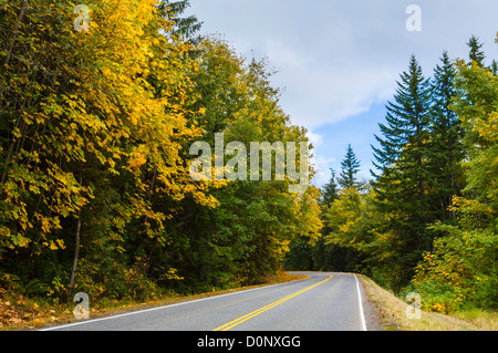 Straße bis zum Hurricane Ridge in Olympic Nationalpark Olympic Halbinsel, Washington, USA Stockfoto