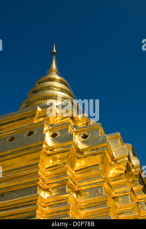 Goldene stupa Stockfoto