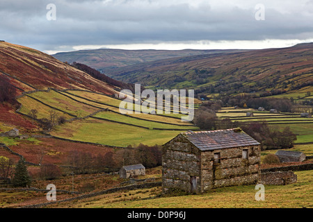 Naturstein-Scheunen, die entlang des Tals in der Nähe von Thwaite, im Swaledale Teil der Yorkshire Dales Stockfoto