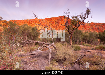 Schroffe Felsen in der Dämmerung in Trephina Gorge in East MacDonnell Ranges in der Nähe von Alice Springs Stockfoto