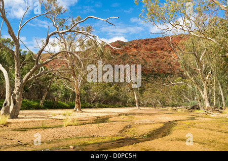 Schroffe Felsen und Geist Zahnfleisch in Trephina Gorge in East MacDonnell Ranges in der Nähe von Alice Springs Stockfoto