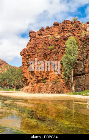 Schroffe Felsen und junger Geist Zahnfleisch in Trephina Gorge in East MacDonnell Ranges in der Nähe von Alice Springs Stockfoto